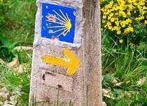 Europejskie Dni Camino de Santiago