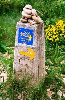 Europejskie Dni Camino de Santiago