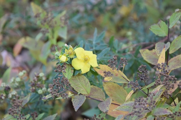 Pielgrzymka do Zakopanego młodzieży z Wałbrzycha