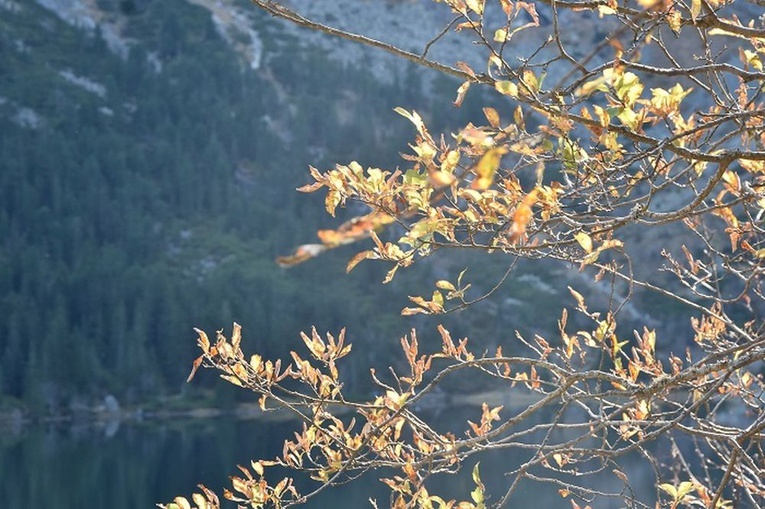 Pielgrzymka do Zakopanego młodzieży z Wałbrzycha