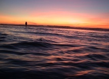 Dlaczego boimy się wszystkiego co nam zagraża?