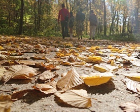 Złota polska jesień w pełnej krasie. 
Spacer nad jeziorem
24.10.2019 Pogoria