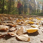 Złota polska jesień w pełnej krasie. 
Spacer nad jeziorem
24.10.2019 Pogoria