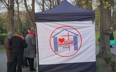 Wszystkich Świętych na cmentarzu Centralnym w Gliwicach
