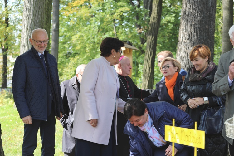 Inauguracja kampanii Pola Nadziei w Bielsku-Białej - 2019