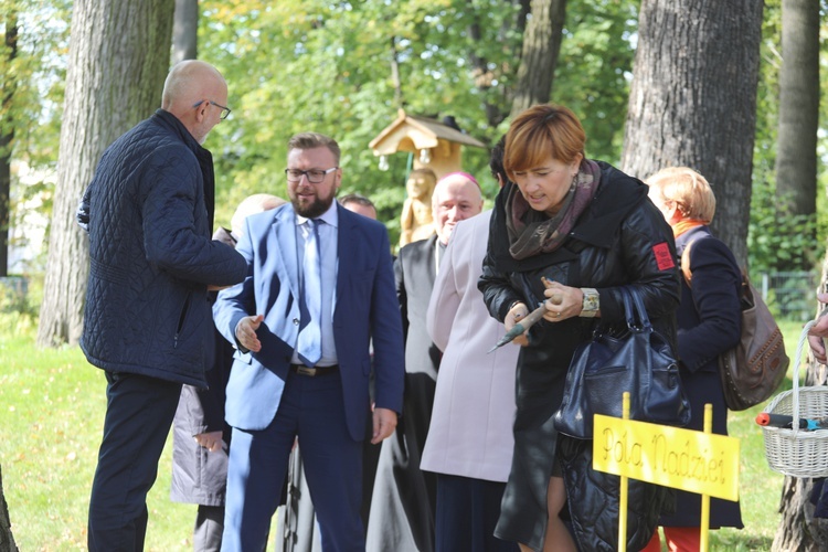 Inauguracja kampanii Pola Nadziei w Bielsku-Białej - 2019