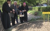 Inauguracja kampanii Pola Nadziei w Bielsku-Białej - 2019