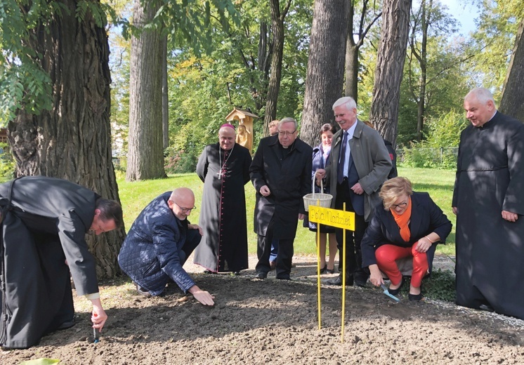 Inauguracja kampanii Pola Nadziei w Bielsku-Białej - 2019