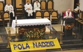 Inauguracja kampanii Pola Nadziei w Bielsku-Białej - 2019