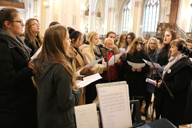 Marsz Wolności w Radomiu