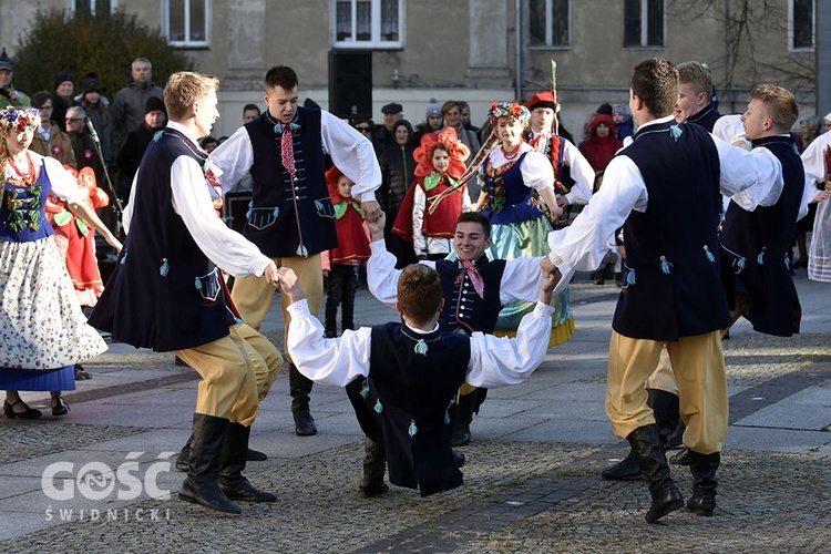 Święto Niepodległości w Świdnicy