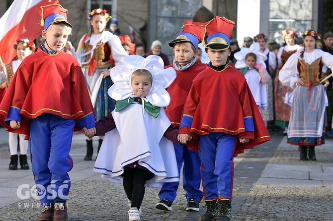 Święto Niepodległości w Świdnicy