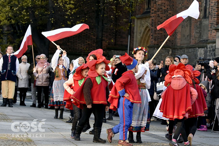 Święto Niepodległości w Świdnicy