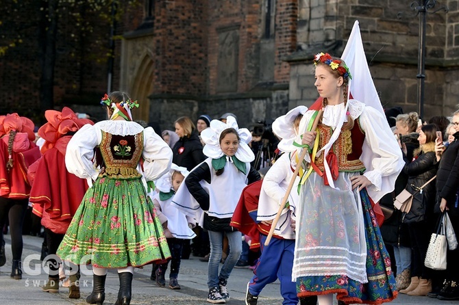 Święto Niepodległości w Świdnicy