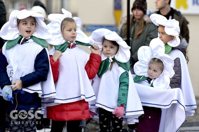 Święto Niepodległości w Świdnicy