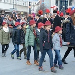 Święto Niepodległości w Opolu