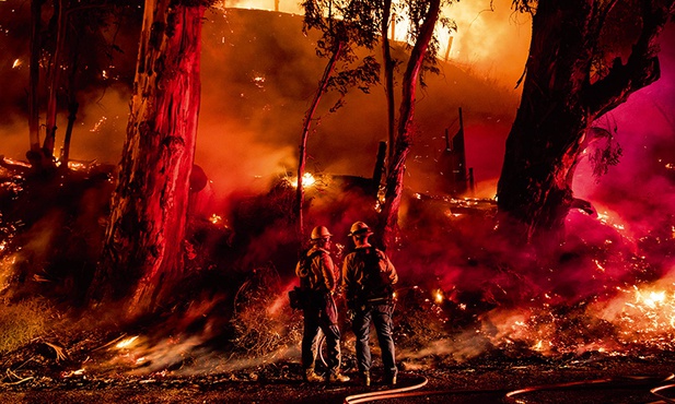 Strażacy walczący z gigantycznym pożarem, który na północny zachód od Los Angeles pochłonął ponad 7 tys. akrów  ziemi uprawnej.
1.11.2019 Ventura, Kalifornia