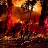 Strażacy walczący z gigantycznym pożarem, który na północny zachód od Los Angeles pochłonął ponad 7 tys. akrów  ziemi uprawnej.
1.11.2019 Ventura, Kalifornia