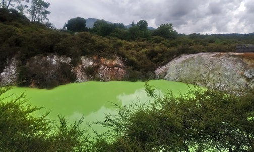 Rotorua 