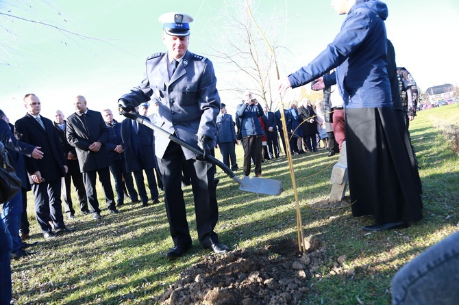 Zabawa. Światowy Dzień Ofiar Wypadków Drogowych