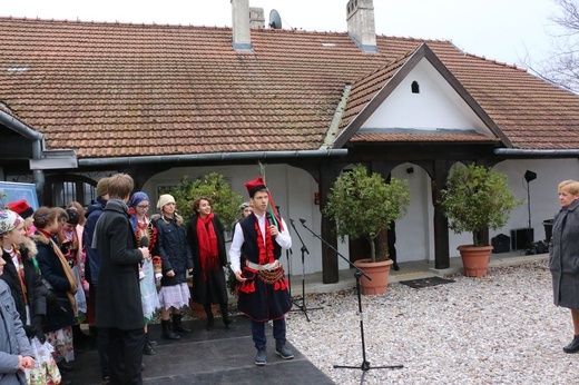 Osadzanie chochoła przed Rydlówką 2019