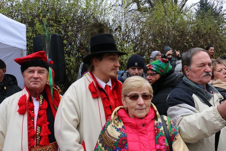 Osadzanie chochoła przed Rydlówką 2019