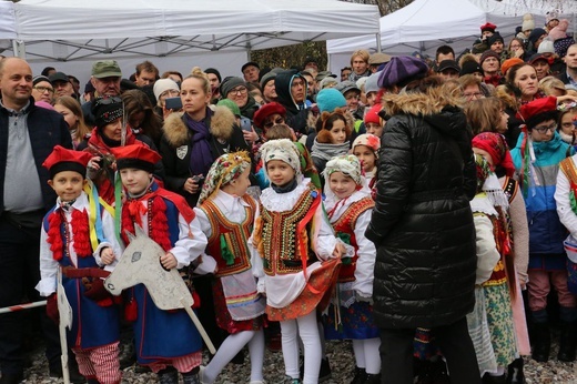 Osadzanie chochoła przed Rydlówką 2019