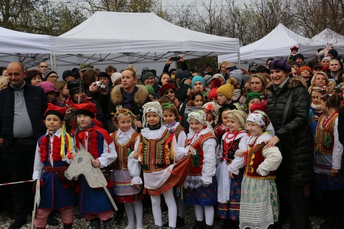 Osadzanie chochoła przed Rydlówką 2019