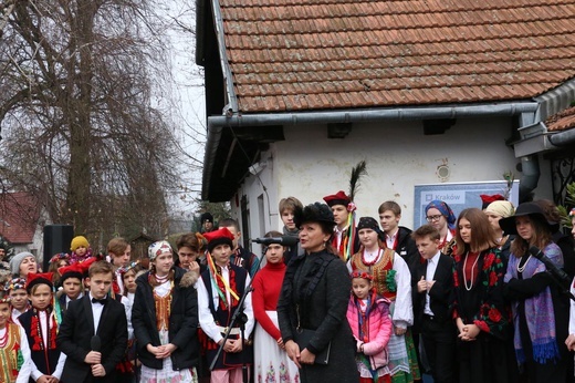 Osadzanie chochoła przed Rydlówką 2019