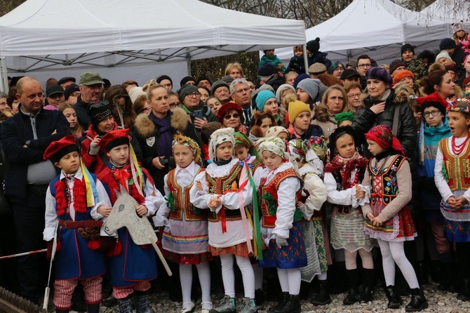 Osadzanie chochoła przed Rydlówką 2019