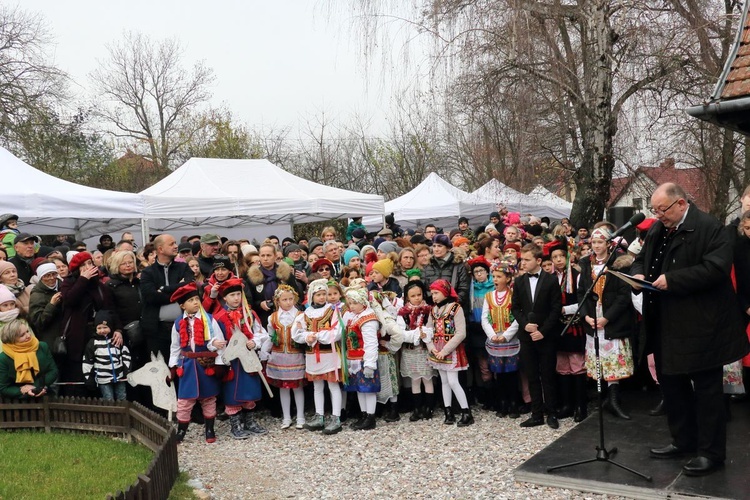 Osadzanie chochoła przed Rydlówką 2019