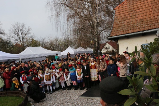 Osadzanie chochoła przed Rydlówką 2019