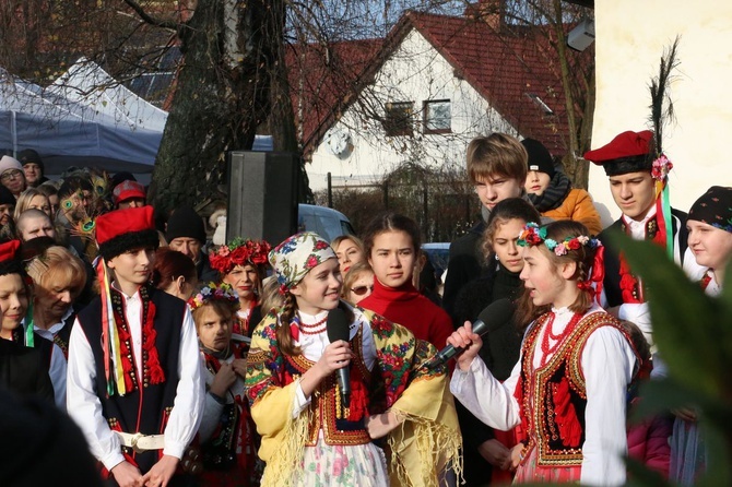 Osadzanie chochoła przed Rydlówką 2019