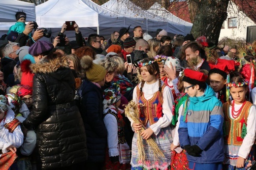 Osadzanie chochoła przed Rydlówką 2019