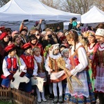 Osadzanie chochoła przed Rydlówką 2019