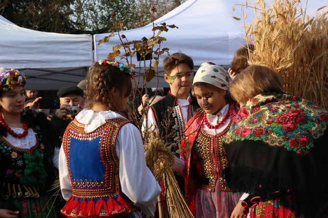 Osadzanie chochoła przed Rydlówką 2019