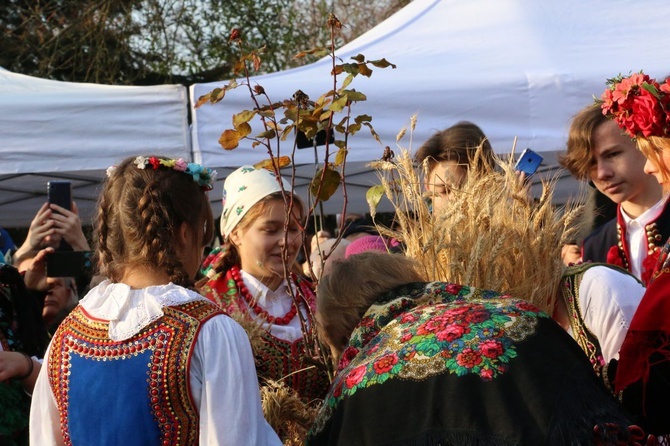 Osadzanie chochoła przed Rydlówką 2019