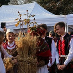 Osadzanie chochoła przed Rydlówką 2019