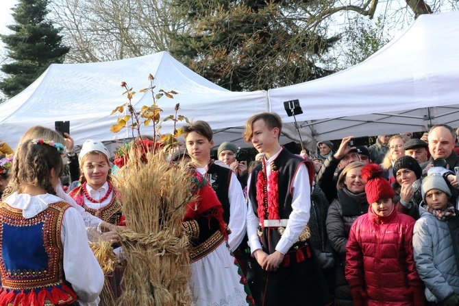 Osadzanie chochoła przed Rydlówką 2019