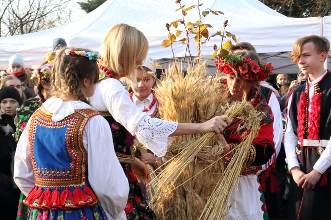 Osadzanie chochoła przed Rydlówką 2019