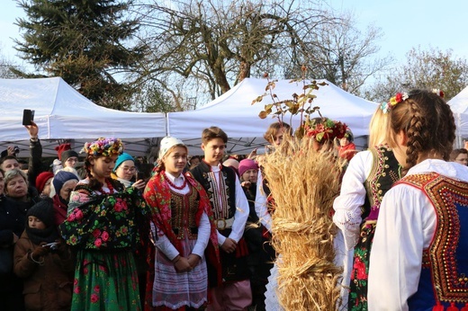 Osadzanie chochoła przed Rydlówką 2019