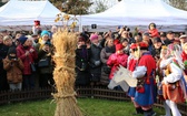 Osadzanie chochoła przed Rydlówką 2019