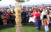 Osadzanie chochoła przed Rydlówką 2019