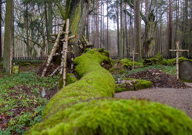 Cmentarz Leśników