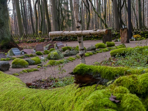 Cmentarz Leśników