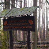 Cmentarz Leśników
