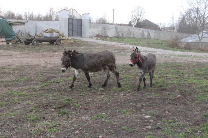 Opactwo mniszek benedyktynek w Staniątkach