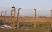 Kanclerz Angela Merkel z wizytą w byłym obozie Auschwitz-Birkenau 
