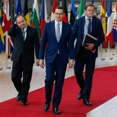 Polska uzyskała zwolnienie z zasady zastosowania neutralności klimatycznej w 2050 r.