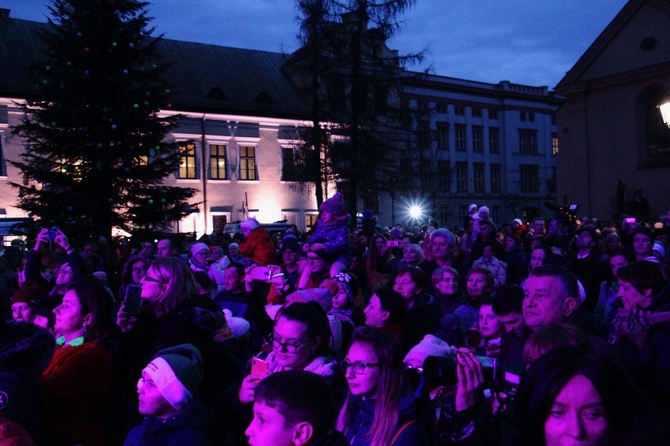 Choinka przed Oknem Papieskim 2019